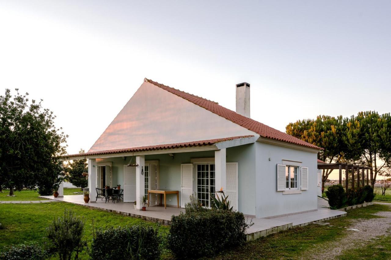 Na Quinta- Alojamento Rural Com Piscina De Agua Salgada Poceirao Exterior foto