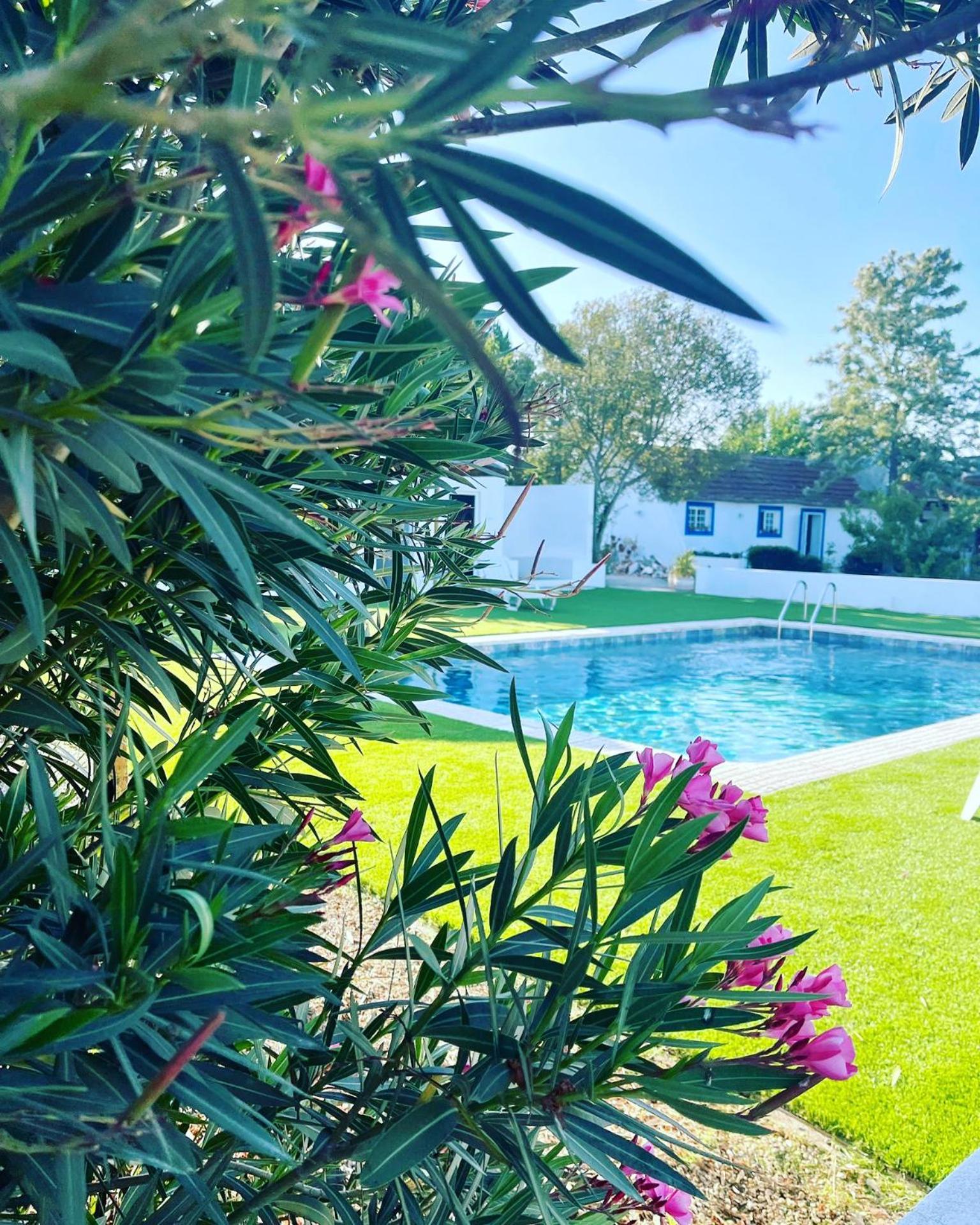 Na Quinta- Alojamento Rural Com Piscina De Agua Salgada Poceirao Exterior foto