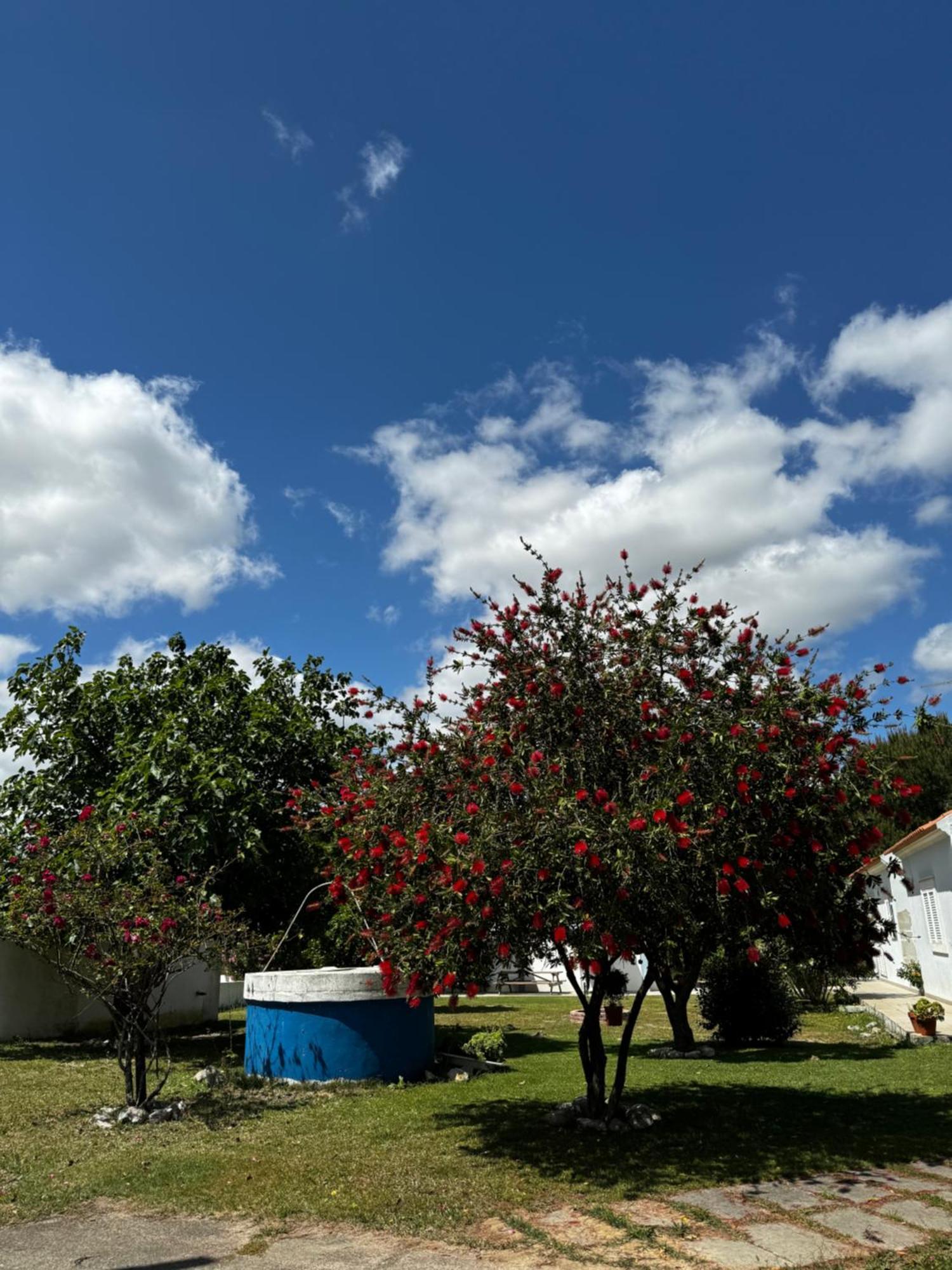 Na Quinta- Alojamento Rural Com Piscina De Agua Salgada Poceirao Exterior foto