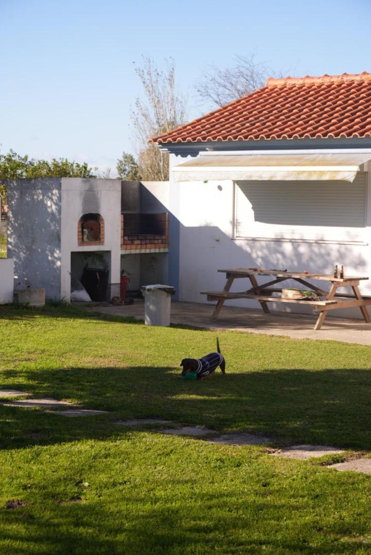 Na Quinta- Alojamento Rural Com Piscina De Agua Salgada Poceirao Exterior foto